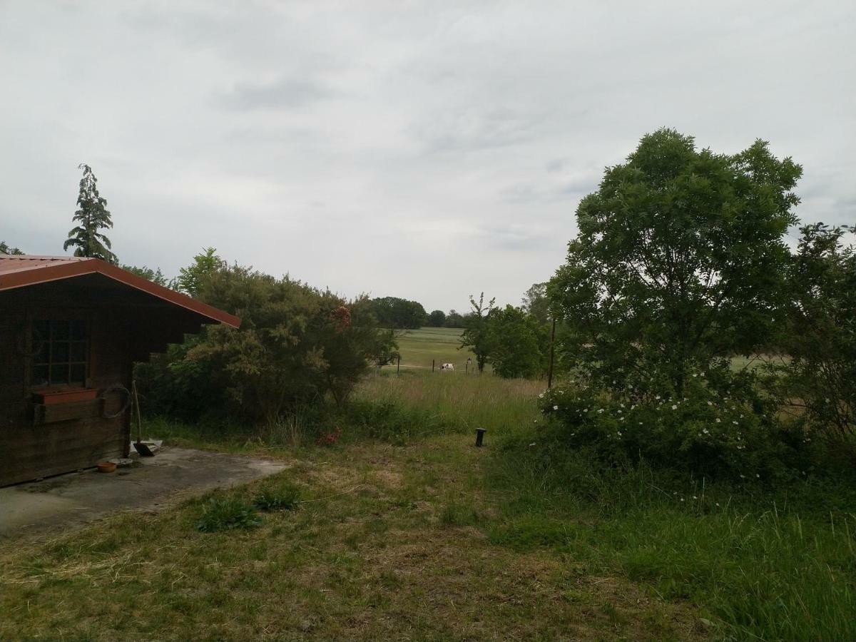 New Home Langendorf  外观 照片